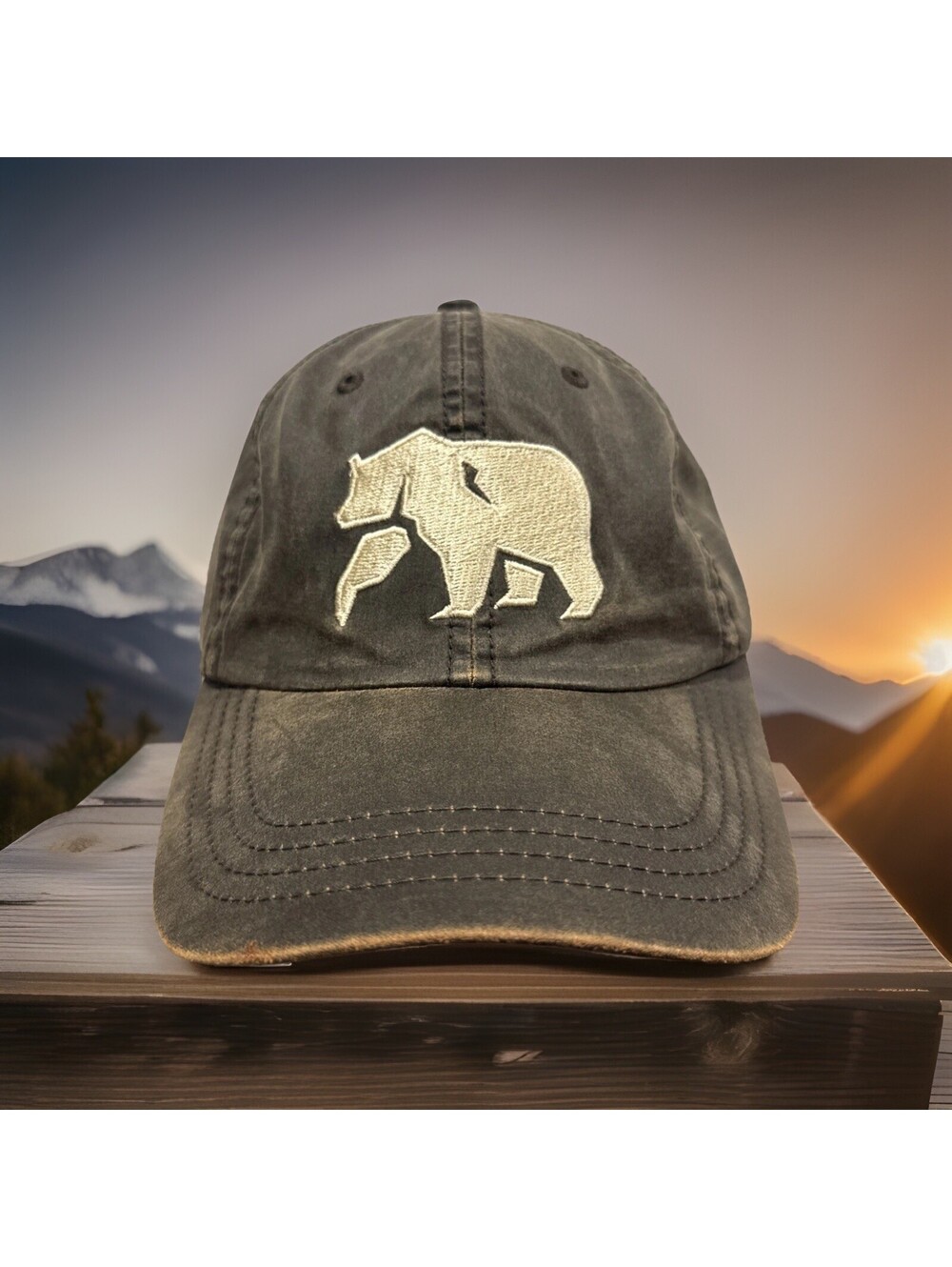 St. Louis Zoo Brown Bear Polar Bears Sea Lion Sound Penguin Coast Baseball Cap